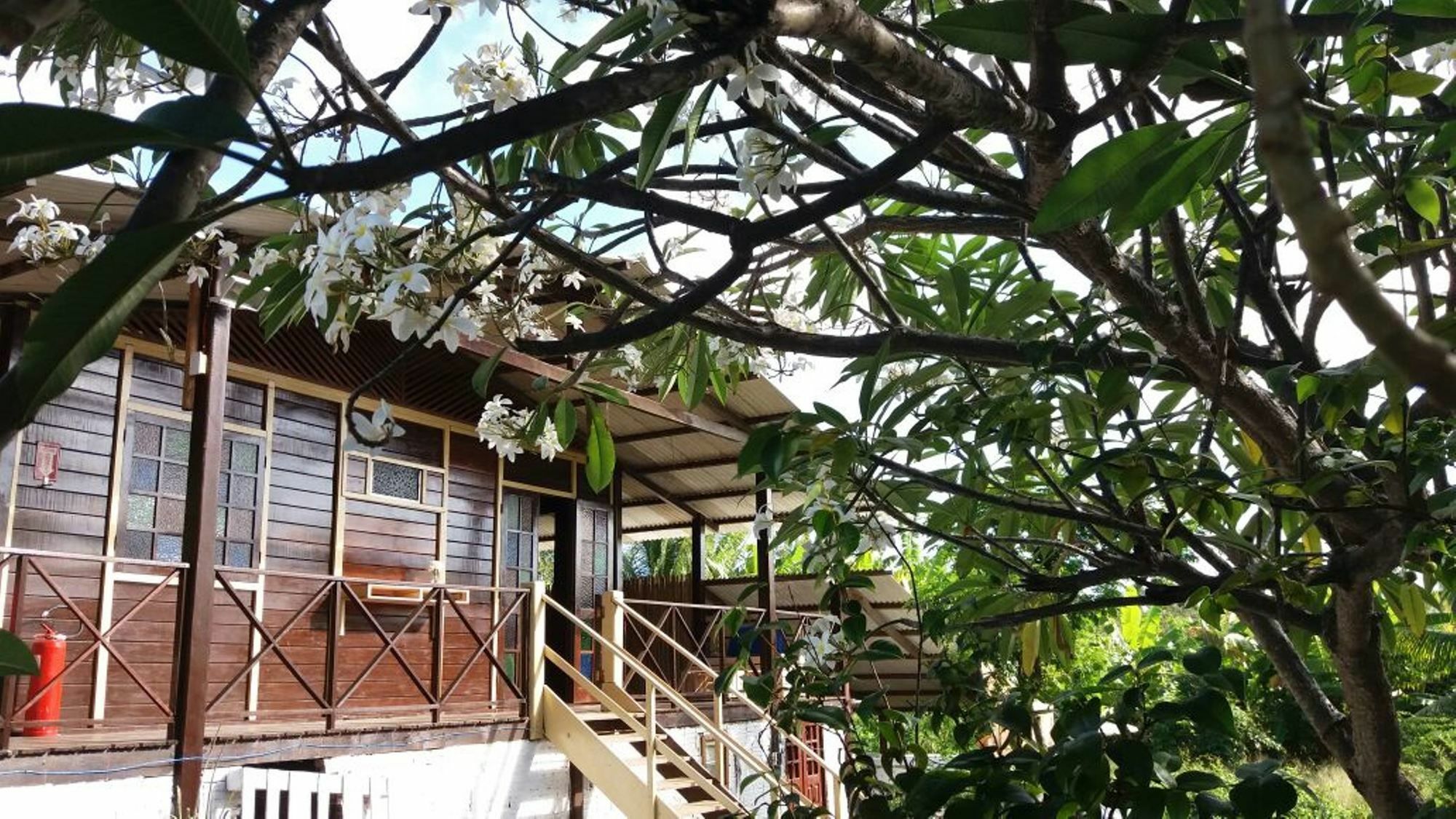 Pousada Boldro Home فرناندو دي نورونها المظهر الخارجي الصورة