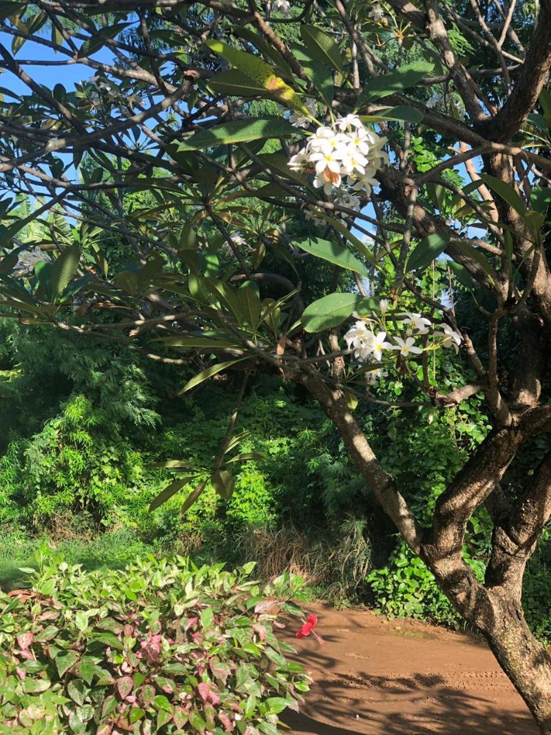Pousada Boldro Home فرناندو دي نورونها المظهر الخارجي الصورة